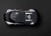 Bugatti Veyron Pur Sang Bugatti Veyron Pur Sang
